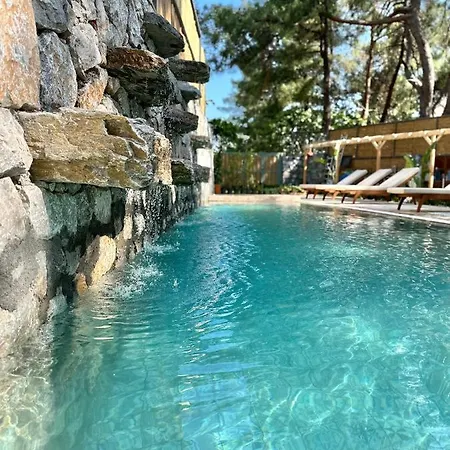 Esmahan Forest And Pool By Zehra Apartment *