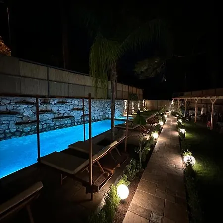 Esmahan Forest And Pool By Zehra Marmaris