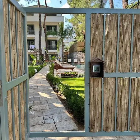 Esmahan Forest And Pool By Zehra *