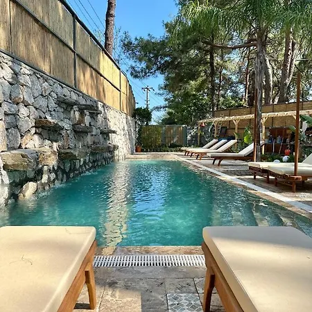 Esmahan Forest And Pool By Zehra דירה מרמריס